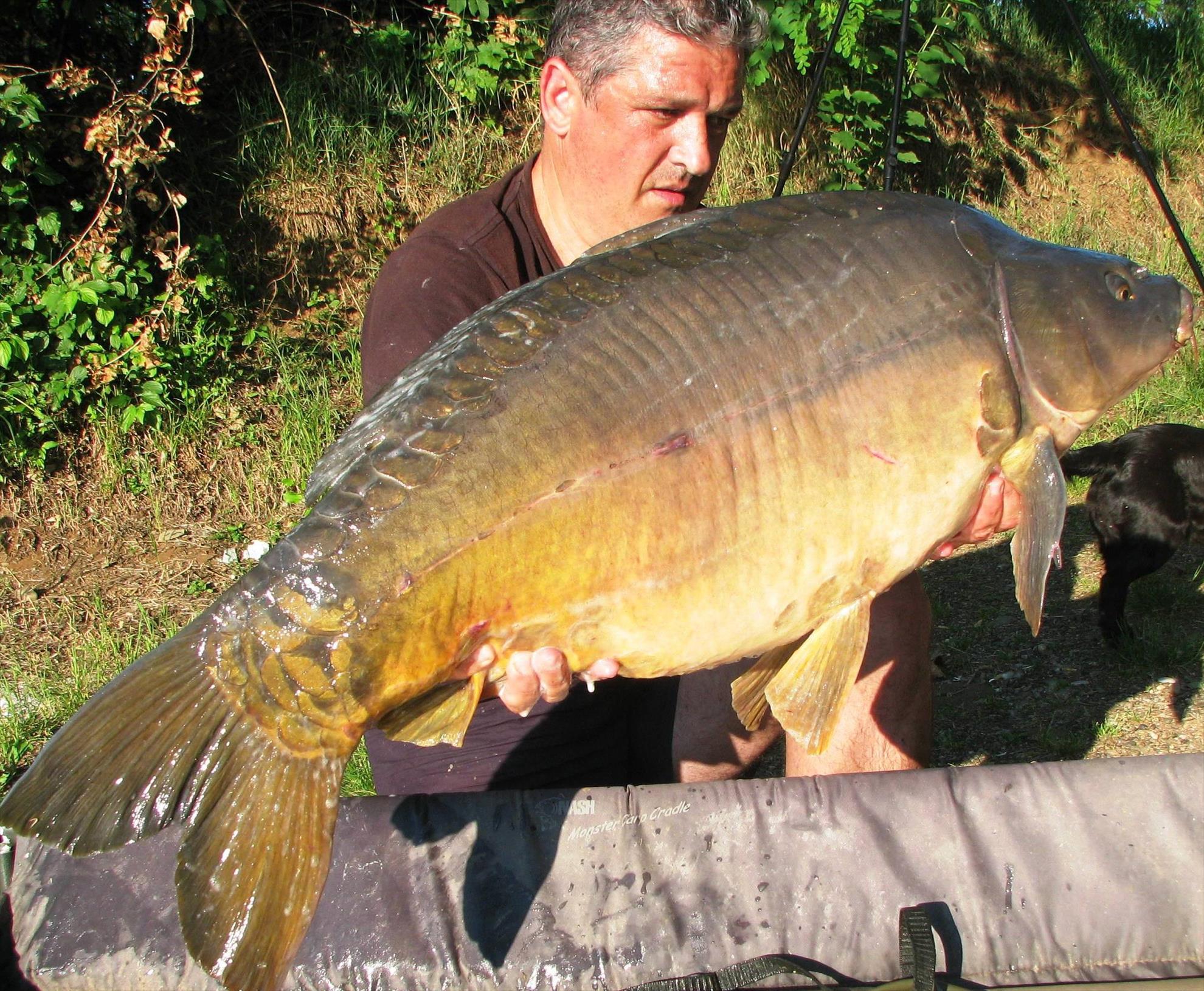 Pelagicevo Jezero  mai 2015 - img2149.JPG